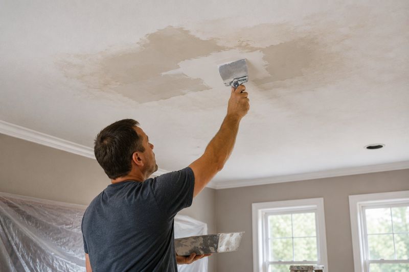 Attic Water Damage Repair in Houston, TX