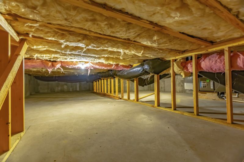 Crawl Space Remediation in Conroe, TX
