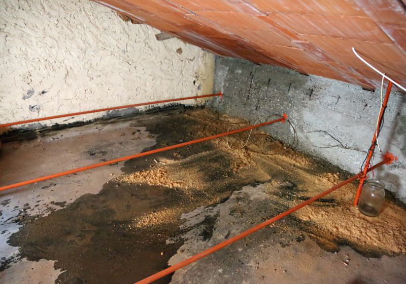 Crawl Space Remediation in Charleston, SC